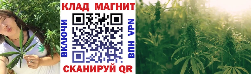 Названия наркотиков Ухта Галлюциногенные грибы ГАШ Марихуана COCAIN