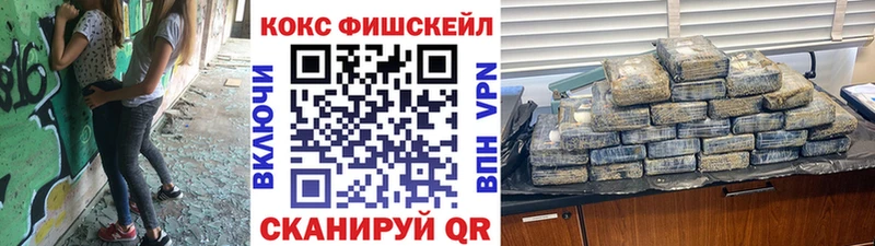 где можно купить   Ухта  COCAIN Fish Scale 