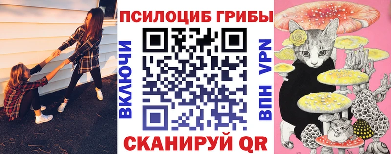 Галлюциногенные грибы прущие грибы  Ухта 